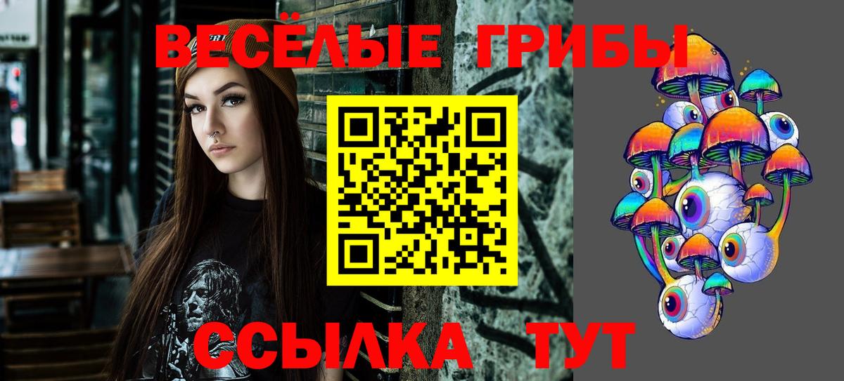 Галлюциногенные грибы мицелий  Вход с VPN  Псилоцибиновые грибы GOLDEN TEACHER  Котельники 